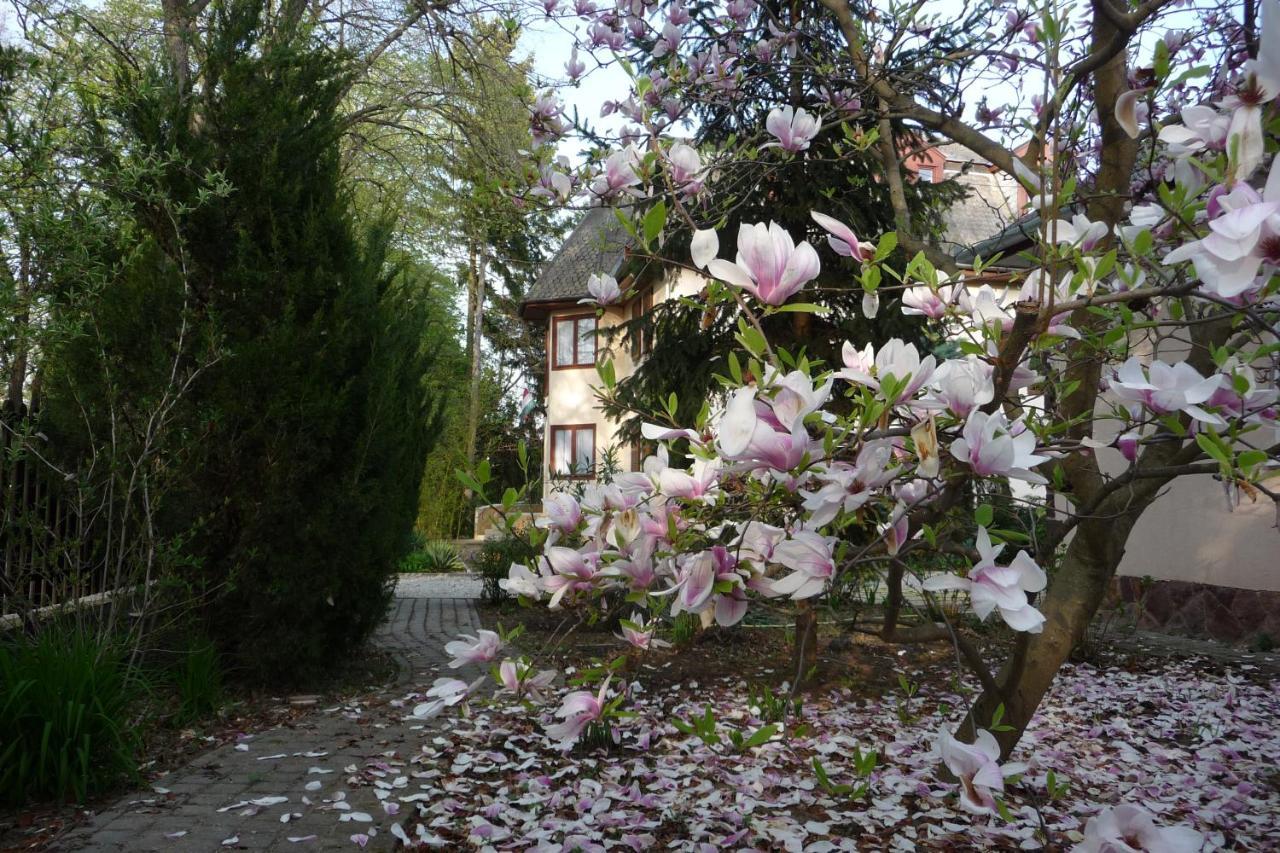 Balaton Art Guesthouse Balatonszárszó Zewnętrze zdjęcie