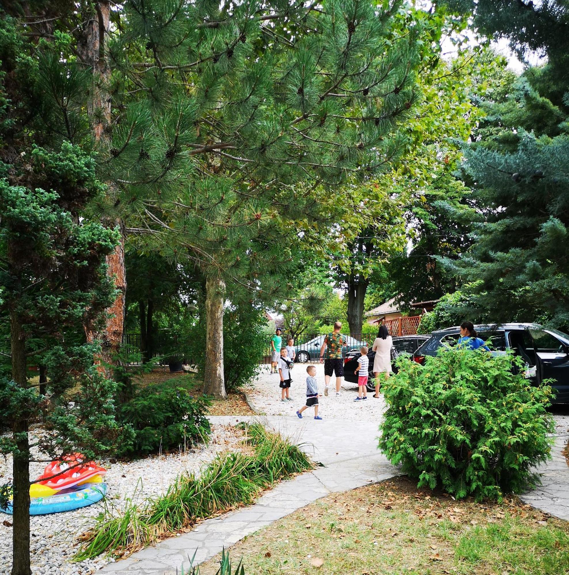 Balaton Art Guesthouse Balatonszárszó Zewnętrze zdjęcie