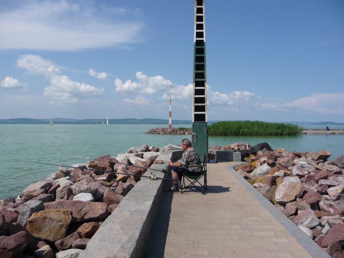 Balaton Art Guesthouse Balatonszárszó Zewnętrze zdjęcie